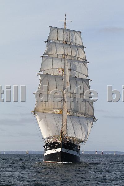 TSR2011_2 811.JPG